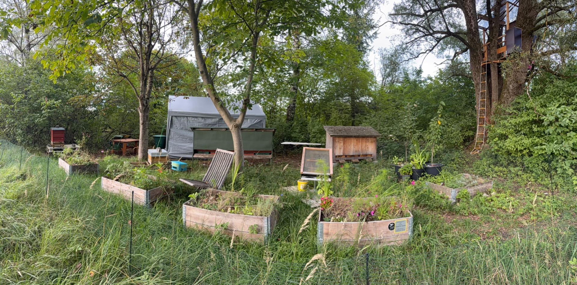 Der naturnahe Bienenstand von Madame Abeille in Königsdorf